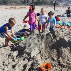 Oak Park Neighborhood School - Curiosity and Fun at the Beach