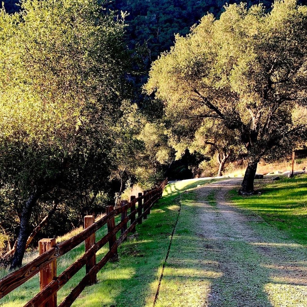 Arroyo Seco Campground - Campgrounds Near Me - Greenfield, California