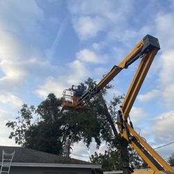 ArborGuard Tree Experts