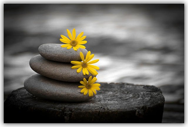 Heart Centered Therapeutics - grief counselor in Seattle, WA