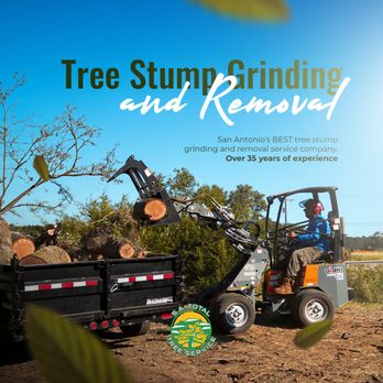 SA Total Tree Service - Picture your yard with no more stumps, just smooth green grass ready for playtime and picnics. - Tree Services Near Me - Helotes, Texas SA Total Tree Service - Picture your yard with no more stumps, just smooth green grass ready for playtime and picnics. - Tree Services Near Me - Helotes, Texas
