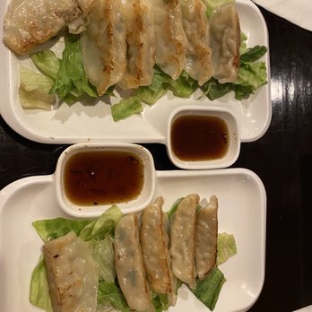Sushi Pirate - Gyoza - Japanese Near Me - North Aurora, Illinois Sushi Pirate - Gyoza - Japanese Near Me - North Aurora, Illinois