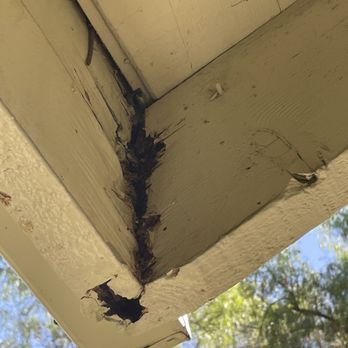 Cal Termite and Pest Control - Rotted out corner that was fully replaced - Pest Control Near Me - Ventura, California Cal Termite and Pest Control - Rotted out corner that was fully replaced - Pest Control Near Me - Ventura, California