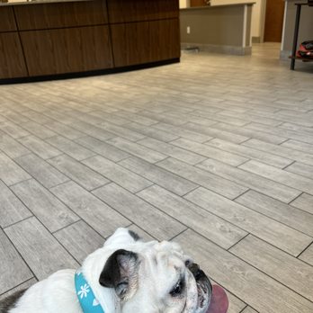 Bennetts Creek Veterinary Care - Veterinarians Near Me - Suffolk, Virginia Bennetts Creek Veterinary Care - Veterinarians Near Me - Suffolk, Virginia