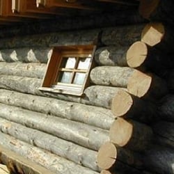 As Altenburger Sauna