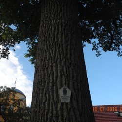Gefallenendenkmal