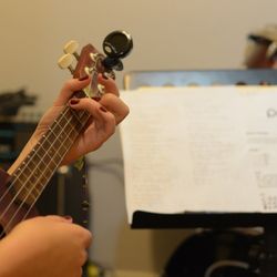 Psalm 33 Music - The Ukulele is a great instrument we sell here at Psalm 33 Music, it's popularity is rising again ... ans we offer Ukulele lessons as well!