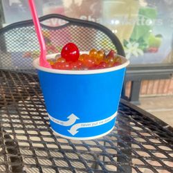 CoolBerry Frozen Yogurt
