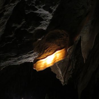 Lehman Caves - Cave bacon. - Parks Near Me - Baker, Nevada