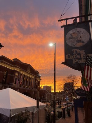 Cat's Eye Pub by null