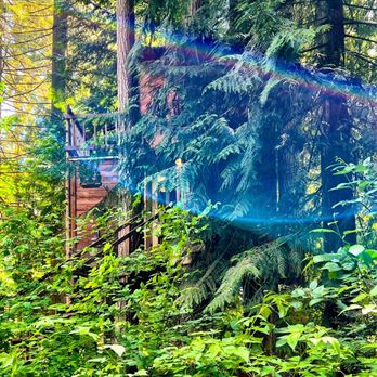 Airbntree At Adams Cove - Vacation Rentals Near Me - Lacey, Washington