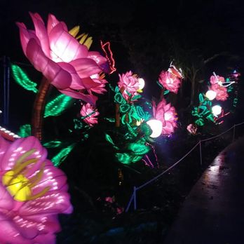 Jungle Island - Flowers - Amusement Parks Near Me - Miami, Florida