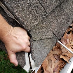 Liberty Exterminators And Wildlife Removal - Squirrel chewed right through the edge of a home to get inside.