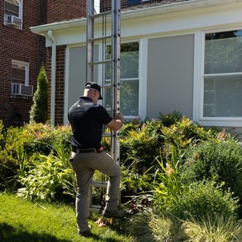 Critter Control - Pest Control Near Me