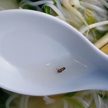 I Luv Pho - Vietnamese Near Me - Houston, Texas I Luv Pho - Vietnamese Near Me - Houston, Texas