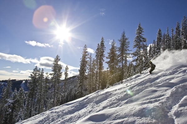Kimberley Alpine Resort by null