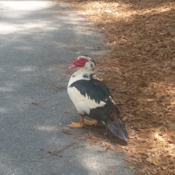 Twin Hills Park - Parks Near Me - Crestview, Florida Twin Hills Park - Parks Near Me - Crestview, Florida