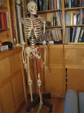 Levy Alan Chiropractor