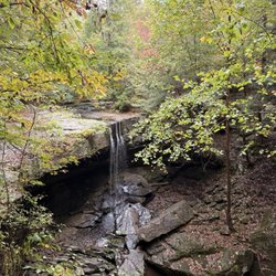 Savage Gulf State Park and Natural Area