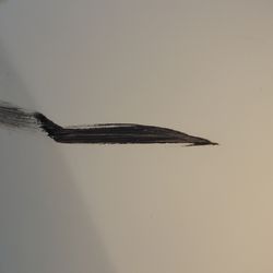 Dent Guru