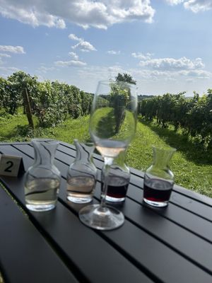 Fjord Vineyards by null