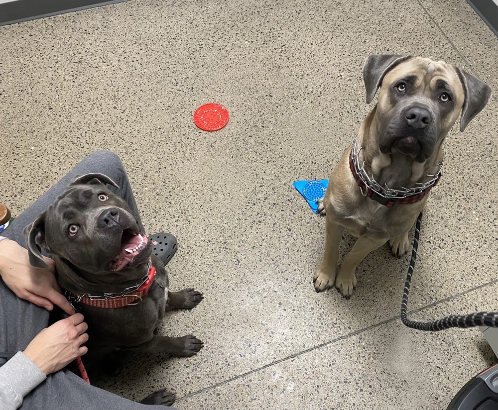 MISSION VETERINARY CLINIC Updated October 2024 26 Photos & 28