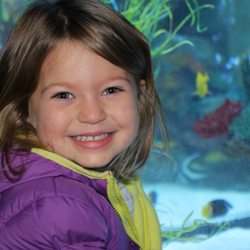 Blue Zoo Aquarium Rogers - Blue Zoo offers family fun for everyone!