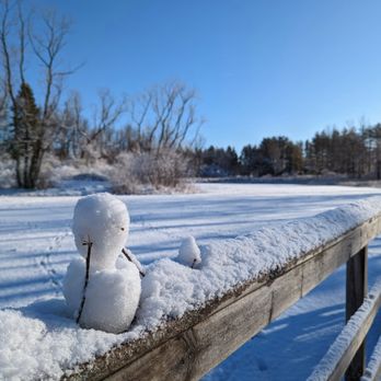Bubolz Nature Preserve - Snowman and snowchild on the dock of Turtle Pond, enjoying the morning calm. - Community Service/Non-Profit Near Me - Appleton, Wisconsin