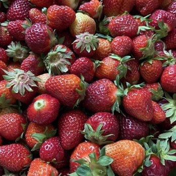 Magee Farms - Strawberries - Farmers Market Near Me Magee Farms - Strawberries - Farmers Market Near Me