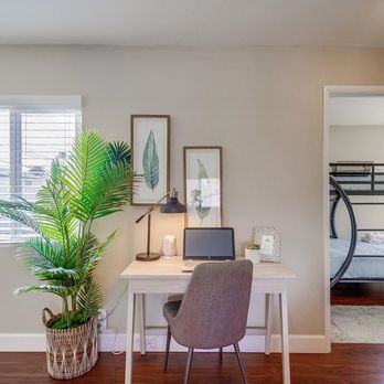 Paisley & Lime - Home Staging Near Me Paisley & Lime - Home Staging Near Me