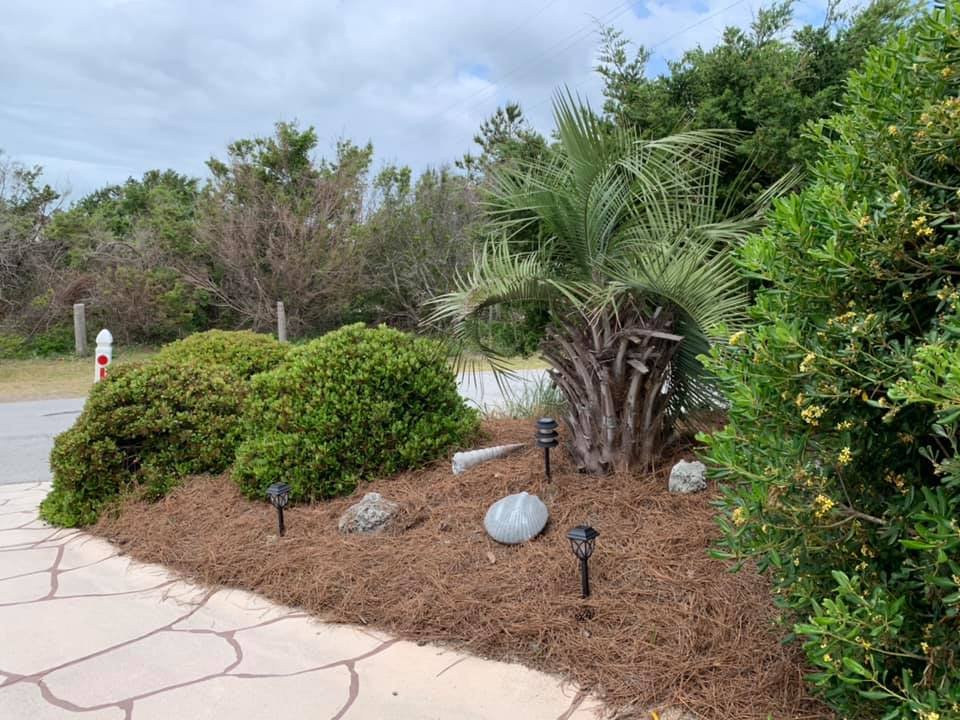 NEW BERN LAWN CARE Updated August 2024 New Bern, North Carolina