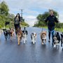Photo of Camp 4 Dogs
