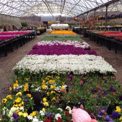 Condurso's Garden Center & Farm Market