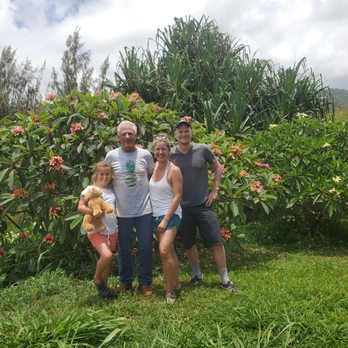 Kauai sugarloaf pineapple - Farmers Market Near Me
