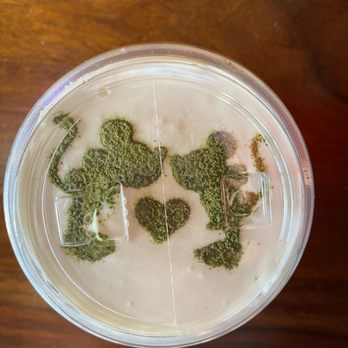 BoBaPoP - Matcha powder design on top of the sea salt foam - Coffee & Tea Near Me - San Gabriel, California BoBaPoP - Matcha powder design on top of the sea salt foam - Coffee & Tea Near Me - San Gabriel, California
