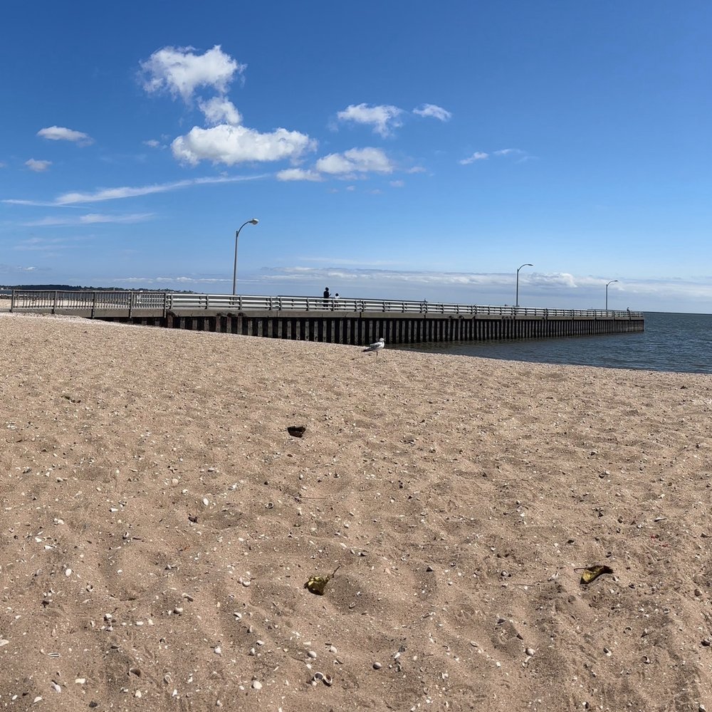 West Haven Beaches - It's hard to see from this picture but there are holes in the sand that the bees are flying in and out of. - Swimming Pools Near Me - West Haven, Connecticut West Haven Beaches - It's hard to see from this picture but there are holes in the sand that the bees are flying in and out of. - Swimming Pools Near Me - West Haven, Connecticut