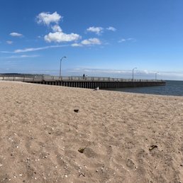 It's hard to see from this picture but there are holes in the sand that the bees are flying in and out of. It's hard to see from this picture but there are holes in the sand that the bees are flying in and out of.
