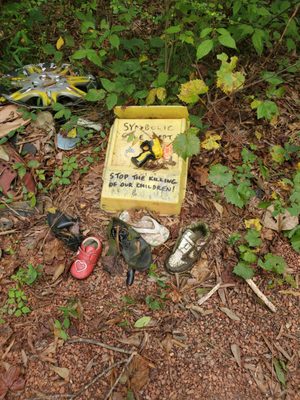 Doll's Head Trail by null