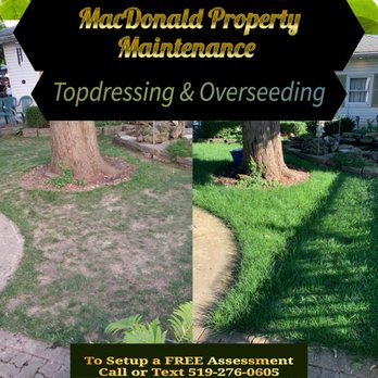 MacDonald Property Maintenance - Gardeners Near Me - Stratford, Ontario MacDonald Property Maintenance - Gardeners Near Me - Stratford, Ontario