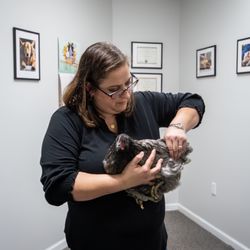 Evergreen Chiropractic and Wellness - We are food animal certified! Call us for more information.