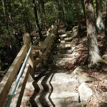 Enders State Forest - Parks Near Me - Granby, Connecticut