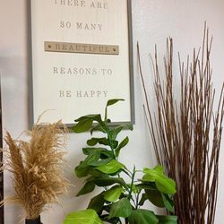 Radiance Salon