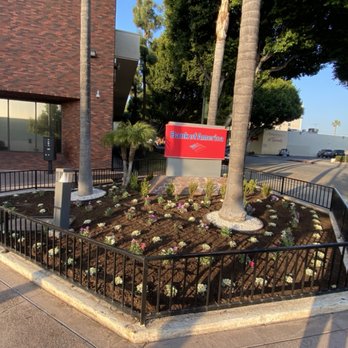 GN Landscape - Very nice and simple look with a nice view - Tree Services Near Me GN Landscape - Very nice and simple look with a nice view - Tree Services Near Me