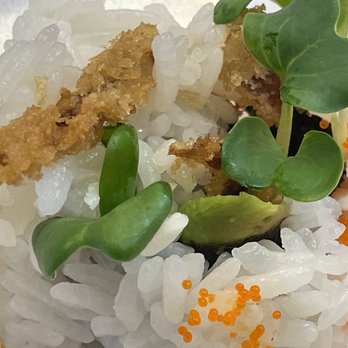 Ju Hachi - Spider Roll - Sushi Bars Near Me - Sacramento, California Ju Hachi - Spider Roll - Sushi Bars Near Me - Sacramento, California