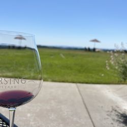 Fairsing Vineyard - Looking out from their shaded patio