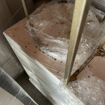 SecurCare Self Storage - Rat urine and feces - Self Storage Near Me - Arcadia, California SecurCare Self Storage - Rat urine and feces - Self Storage Near Me - Arcadia, California