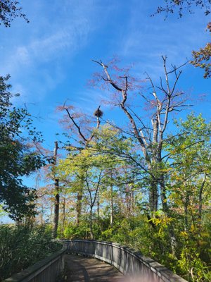 Audubon Society of Rhode Island Nature Center and Aquarium by null