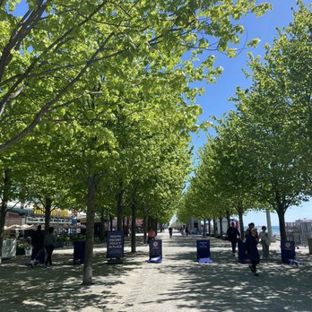 Navy Pier - Landmarks & Historical Buildings Near Me - Chicago, Illinois