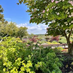 Hovander Homestead Park - Fragrance garden