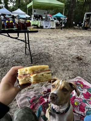 Sea Island Farmers Market by null